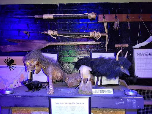 Book Store «Protean Books & Records», reviews and photos, 836 Leadenhall St, Baltimore, MD 21230, USA