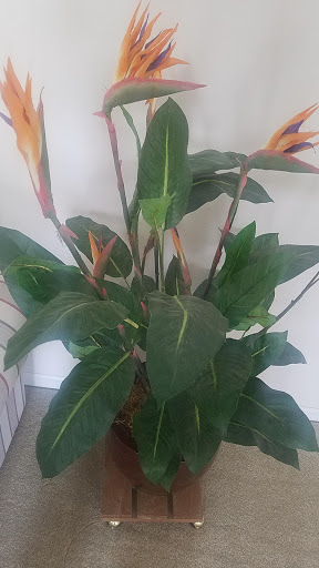 Art Gallery «Homegrown Collectives», reviews and photos, 364 Southland Dr, Lexington, KY 40503, USA