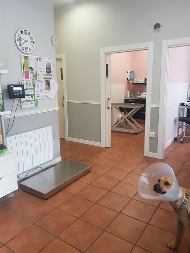 Clínica Veterinaria +kota en Castro Urdiales
