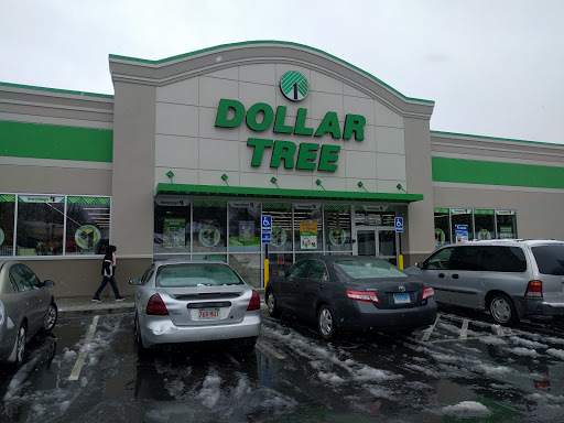 Dollar Store «Dollar Tree», reviews and photos, 383 Allen St, Springfield, MA 01118, USA