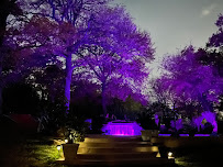 DFW Custom Pool - Photo 9 - Car repair in Hurst, TX, Fort Worth