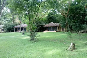 Rubondo Island Camp image