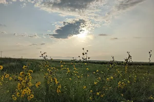 Kansas Scenic View image