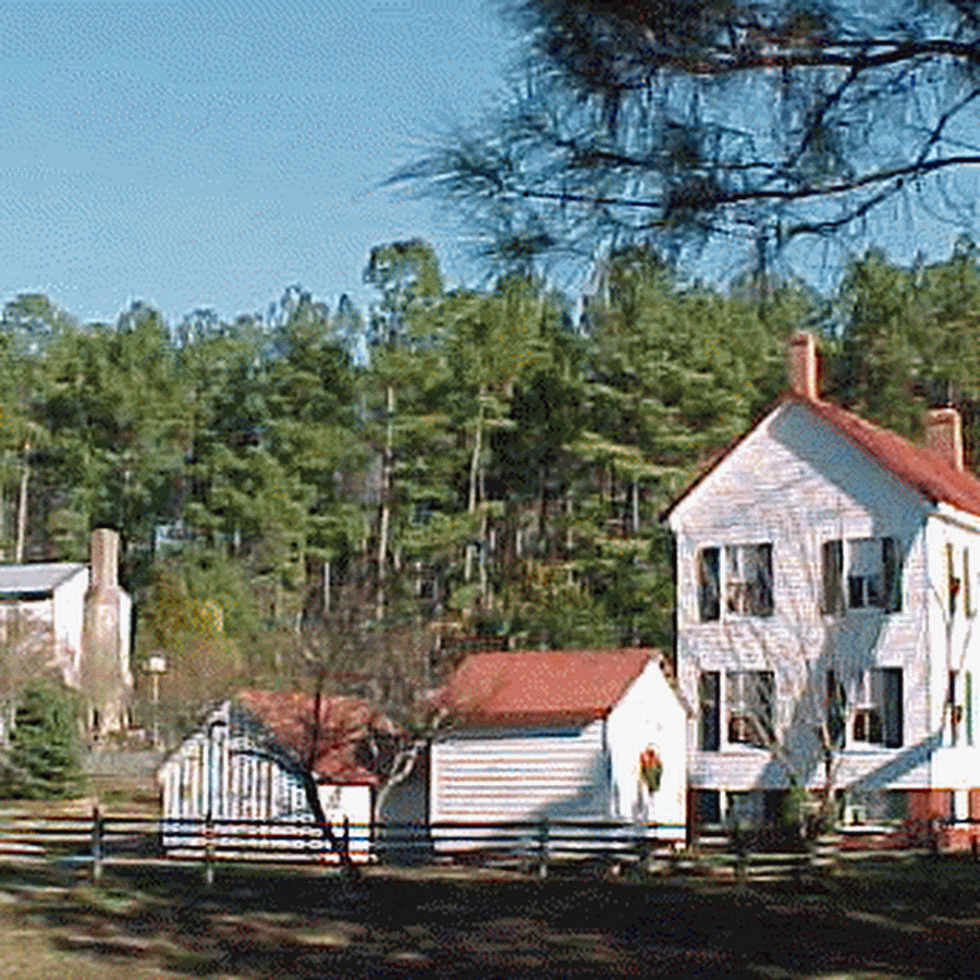 Piney Grove at Southall's Plantation
