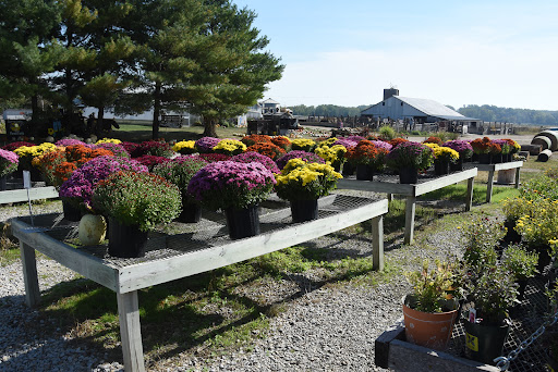 Kroul Farms, 245 IA-1, Mt Vernon, IA 52314, USA, 