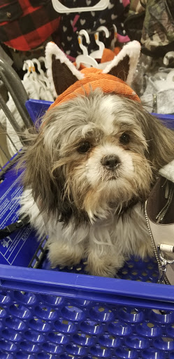 Pet Supply Store «PetSmart», reviews and photos, 1321 W Craig Rd, North Las Vegas, NV 89032, USA