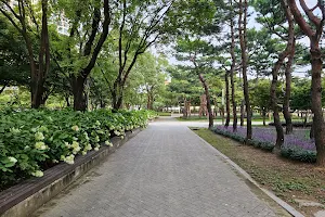 Seoul Forest Skate Park image