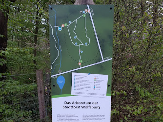 Arboretum Wolfsburg