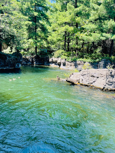 Zoo «Central Park Zoo», reviews and photos, E 64th St & 5th Ave, New York, NY 10021, USA