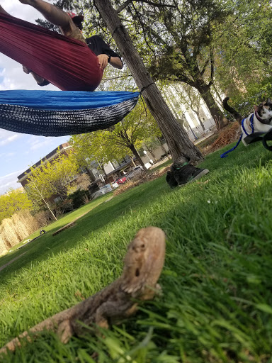 Park «Lowry Park», reviews and photos, 900 Douglas Ave, Minneapolis, MN 55403, USA