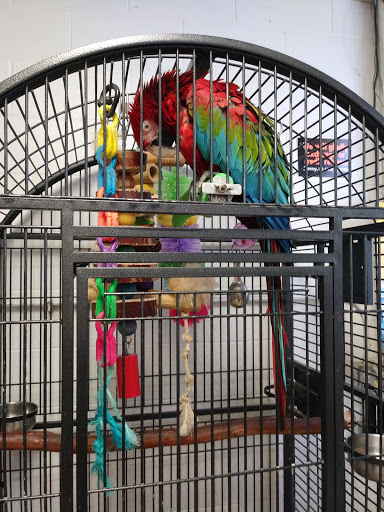 Pet Store «Animart Pets», reviews and photos, 2813 Veterans Memorial Hwy SW, Austell, GA 30168, USA