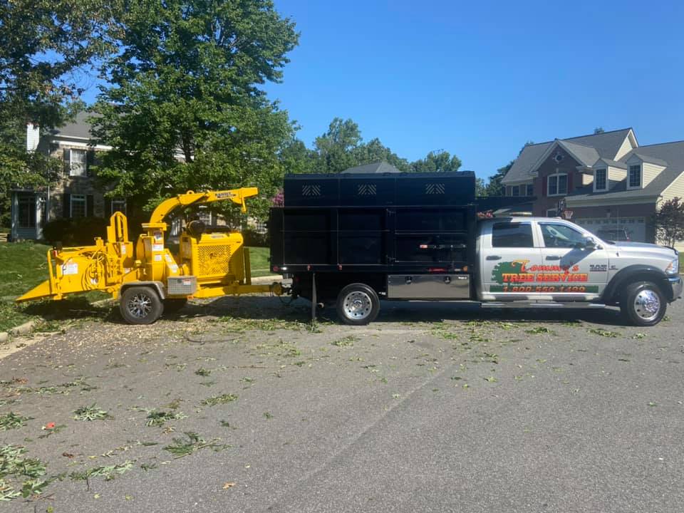 Tommy Frazier Tree Service