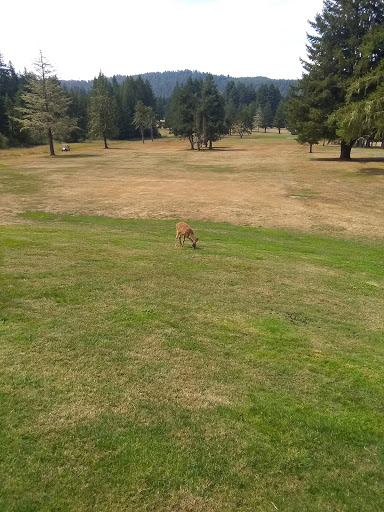 Golf Course «Del Norte Golf Course», reviews and photos, 130 Club Dr, Crescent City, CA 95531, USA