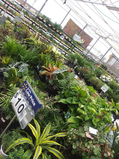 Department Store «Walmart Supercenter», reviews and photos, 9451 FM 1960 Bypass Rd E, Humble, TX 77338, USA