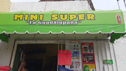 MINI SUPER (La Guadalupana )
