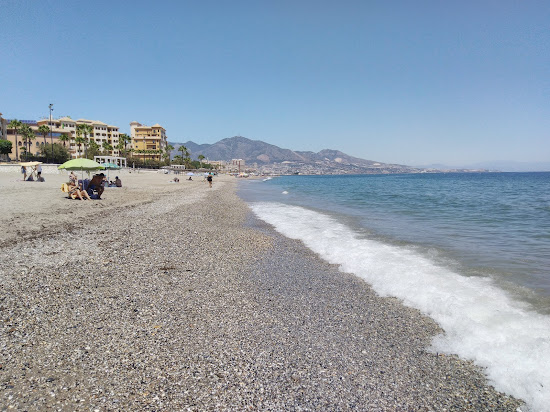 Playa Para Perros