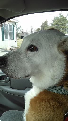 Eastview Veterinary Clinic, PC