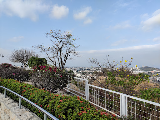 Mirador Cerro Bellavista - Parqueo Para Bicicletas 2