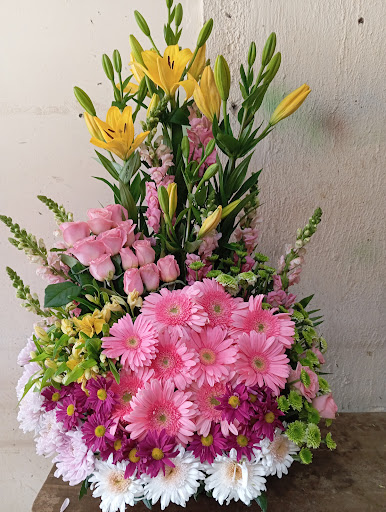 Florería Tulipanes