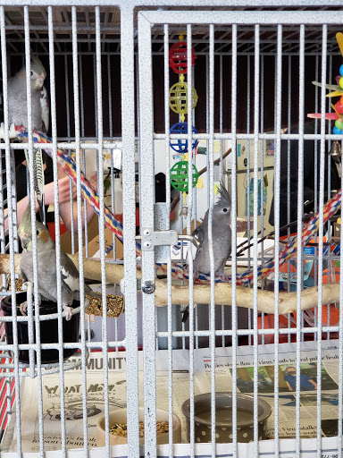 Pet Supply Store «Chico Pet Works & Pet Salon», reviews and photos, 2201 Pillsbury Rd # 186, Chico, CA 95926, USA