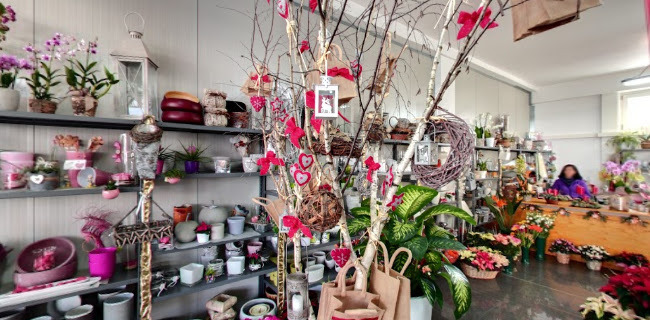 Rezensionen über Fiori Vidal in Lugano - Blumengeschäft