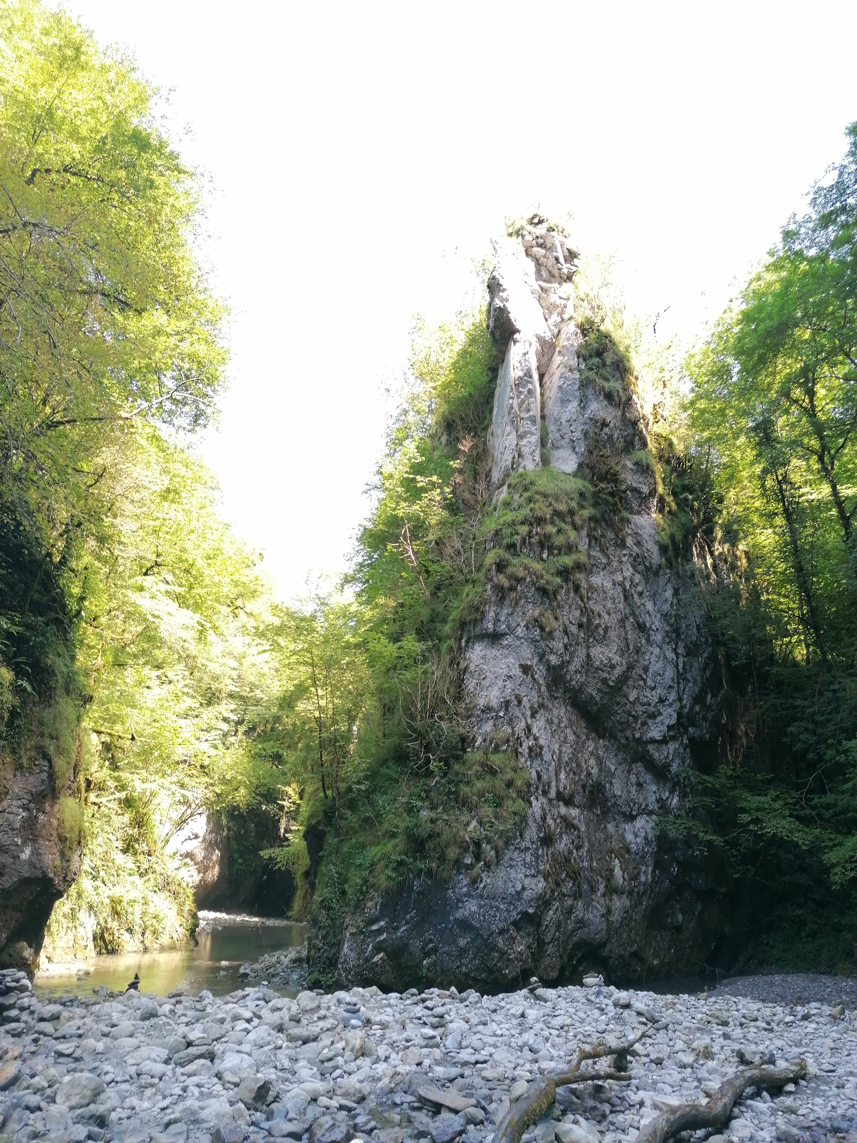 Photo n° 37 de l'avis de Dex.� fait le 23/07/2020 à 19:02