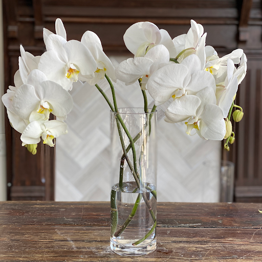 Florist «Botany Bay Florist», reviews and photos, 6068 Roswell Rd, Sandy Springs, GA 30328, USA