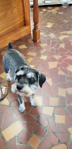 Shoe Store «Good for The SOLE Shoes & Accessories», reviews and photos, 728 Saluda Ave, Columbia, SC 29205, USA