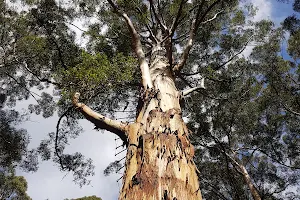 Gloucester National Park image