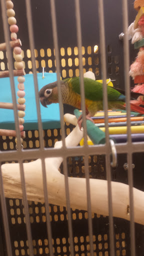 Pet Supply Store «PetSmart», reviews and photos, 47142 Michigan Ave, Canton, MI 48188, USA