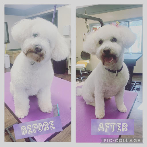 Pet Groomer «U Dirty Dog», reviews and photos, 232 Stevens Entry, Peachtree City, GA 30269, USA