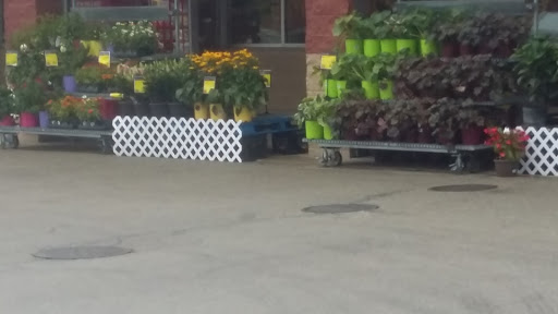 Supermarket «Price Chopper», reviews and photos, 133 Main St, Spencer, MA 01562, USA