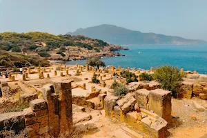 Tipaza image