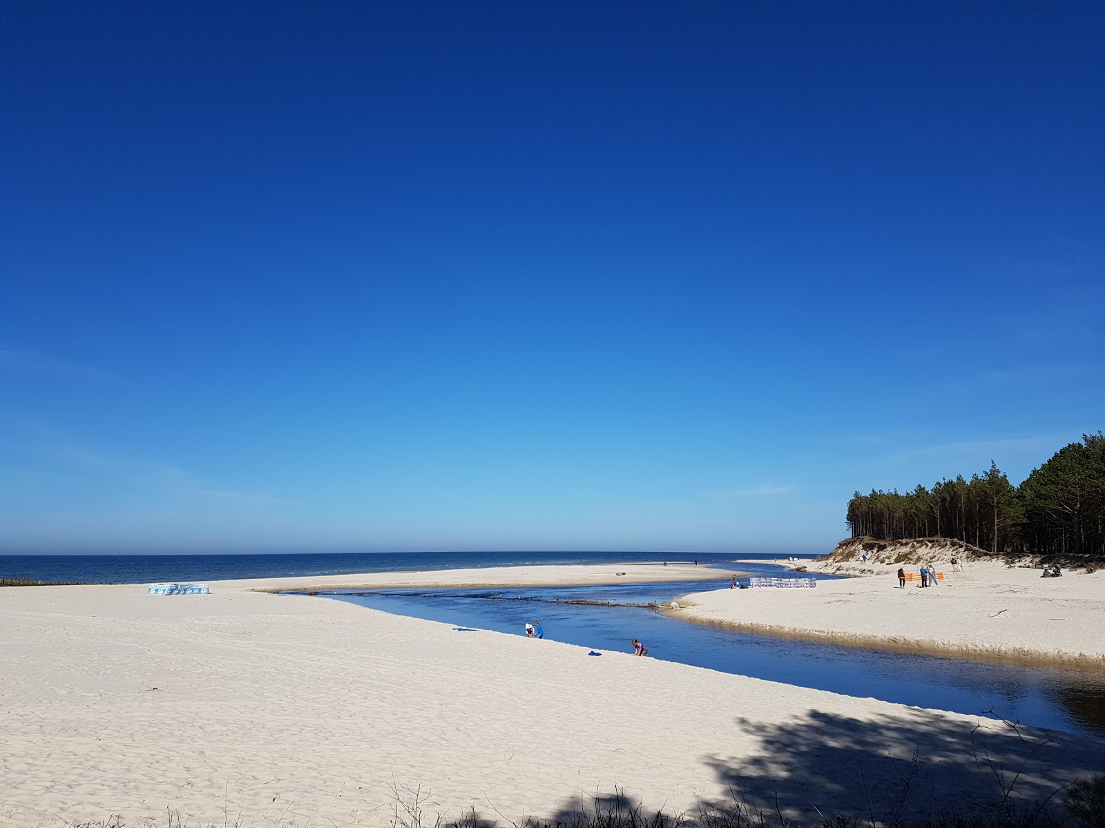 Foto di Pyasnitsa Beach (nr 25) con molto pulita livello di pulizia