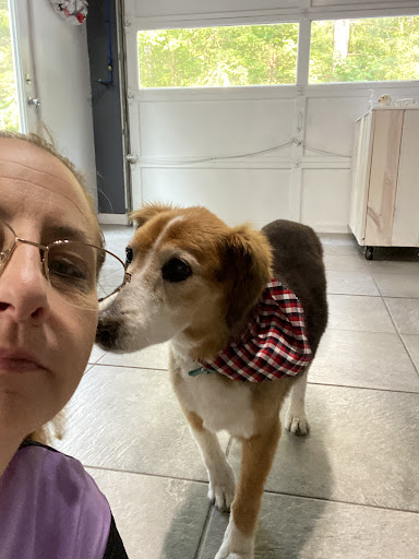 Homestead Pet Grooming