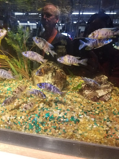 Pet Store «A to Z Pets», reviews and photos, 16010 SE Division St, Portland, OR 97236, USA