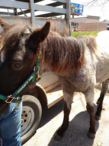 Pet Supply Store «Petco Animal Supplies», reviews and photos, 3110 S Louise Ave, Sioux Falls, SD 57106, USA