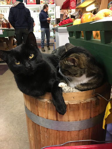 Farm «Rockridge Orchards & Cidery», reviews and photos, 40709 264th Ave SE, Enumclaw, WA 98022, USA