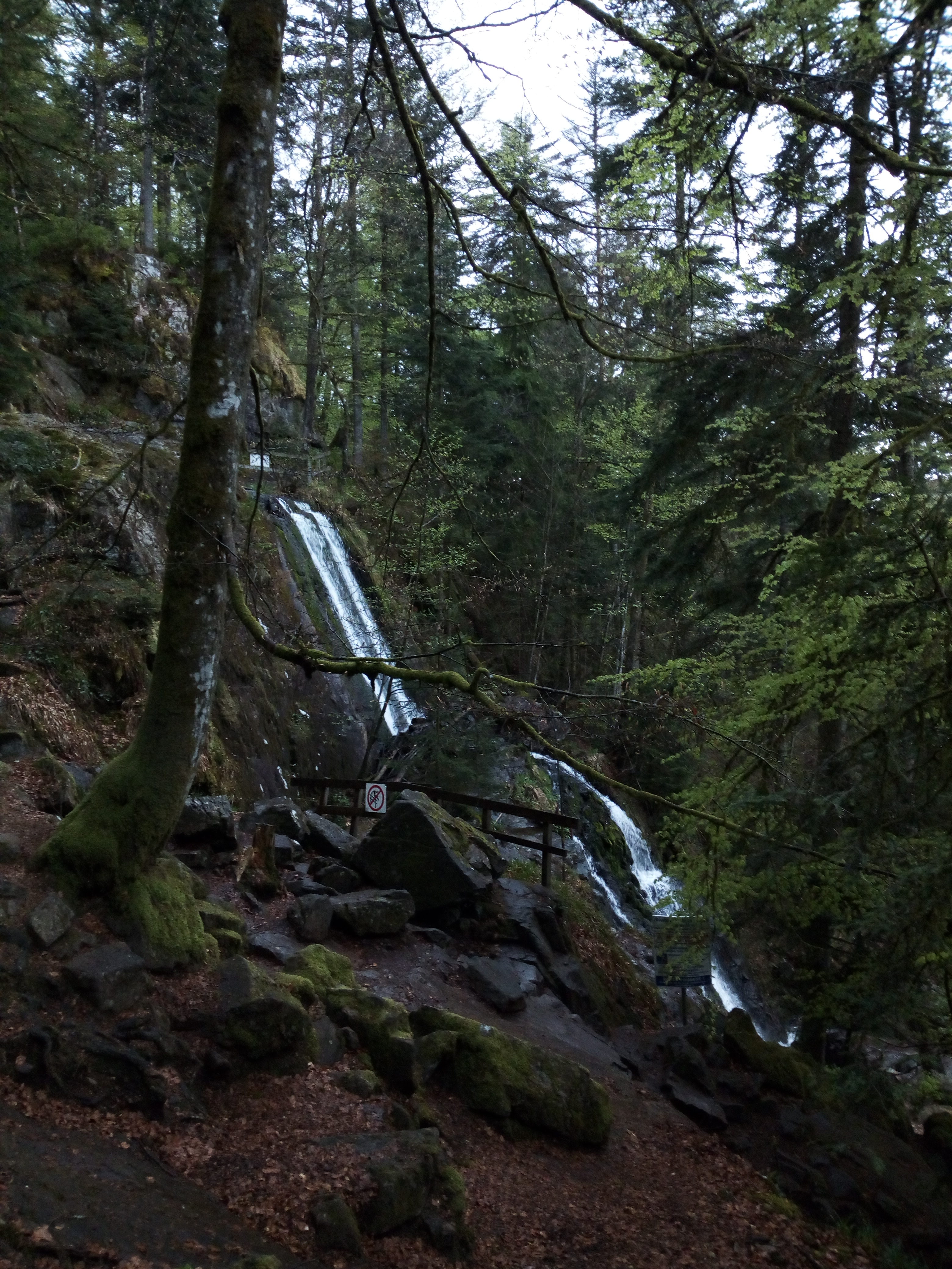 Photo n° 1 de l'avis de Eric.i fait le 24/04/2019 à 14:44
