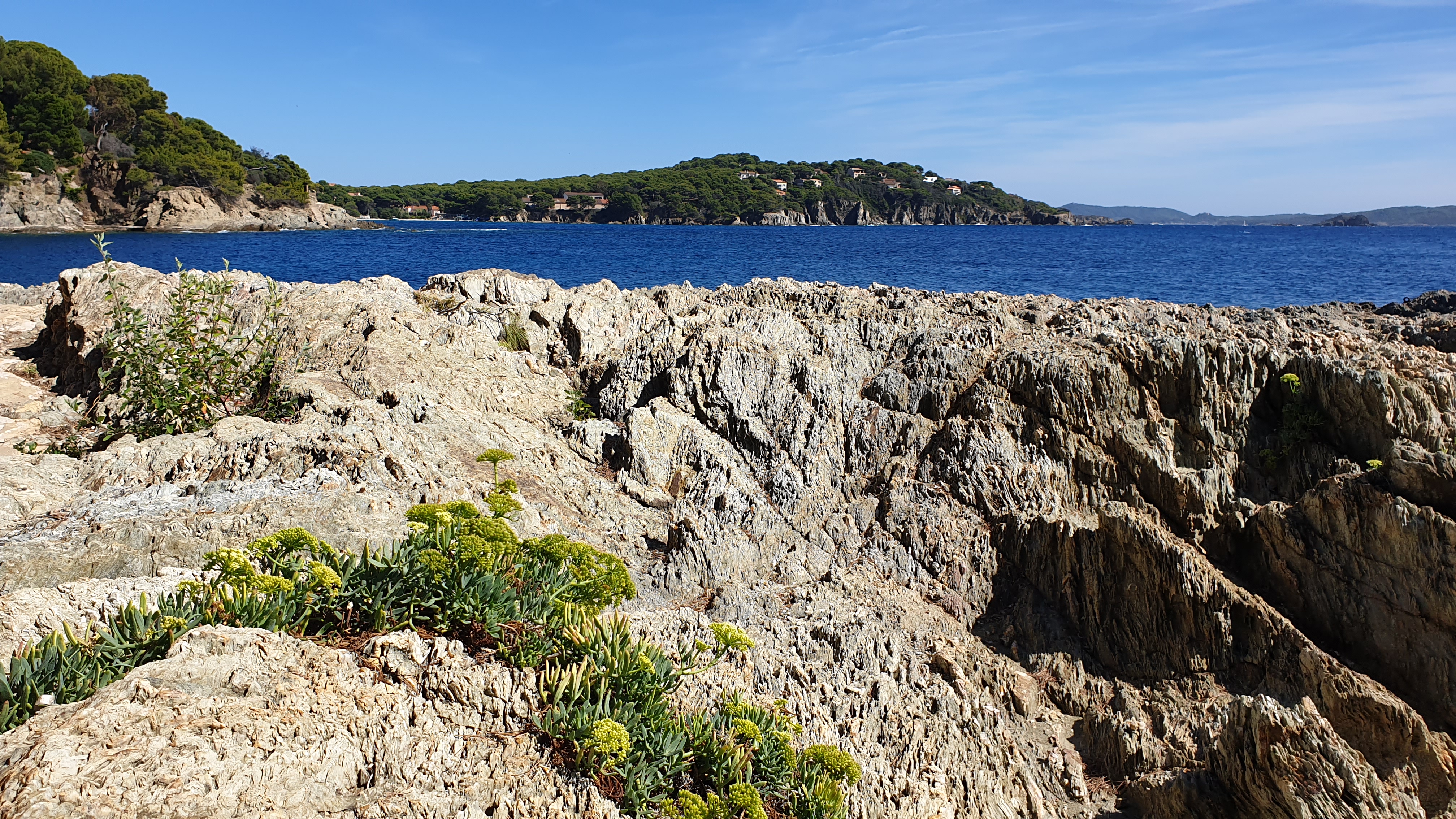 Photo n° 6 de l'avis de Yves. fait le 19/09/2022 à 14:47