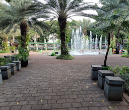 Taman Kodok Menteng photo