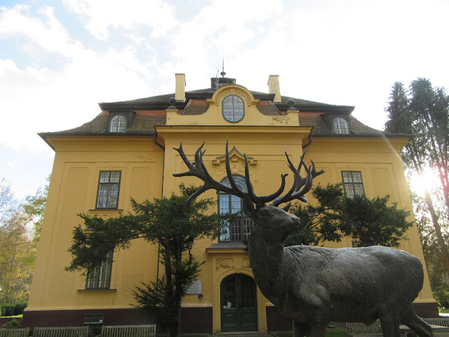 Habsburg (kis) Vadászkastély (Vadászati Múzeum) - Múzeum