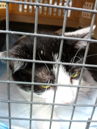 Pet Supply Store «Petco Animal Supplies», reviews and photos, 1391 NJ-35, Middletown, NJ 07748, USA