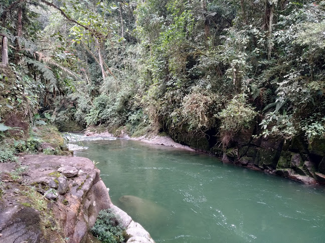 Centro Administrativo Parque Nacional Podocarpus - Sector Bombuscaro