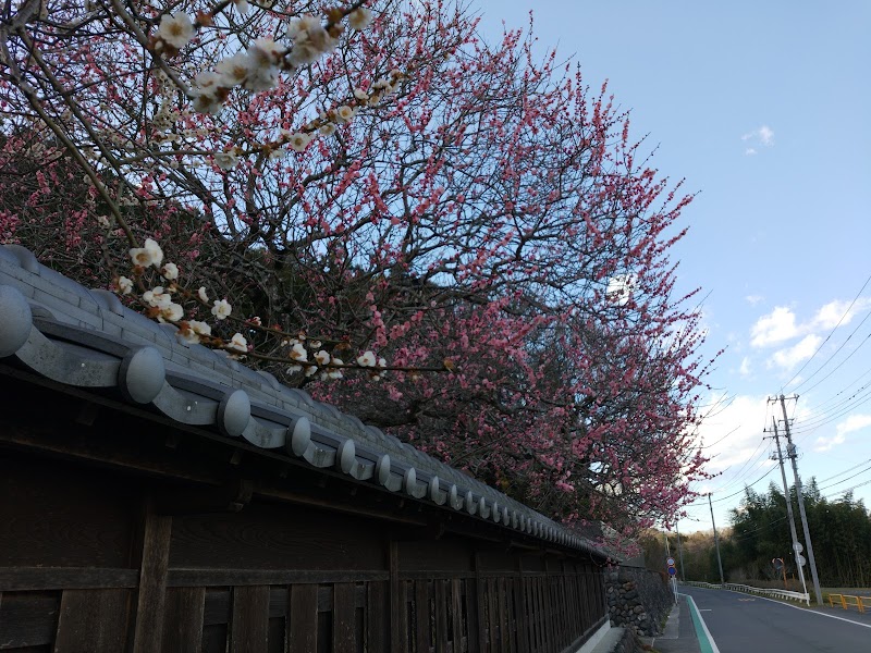 高麗家住宅 埼玉県日高市新堀 史跡 グルコミ