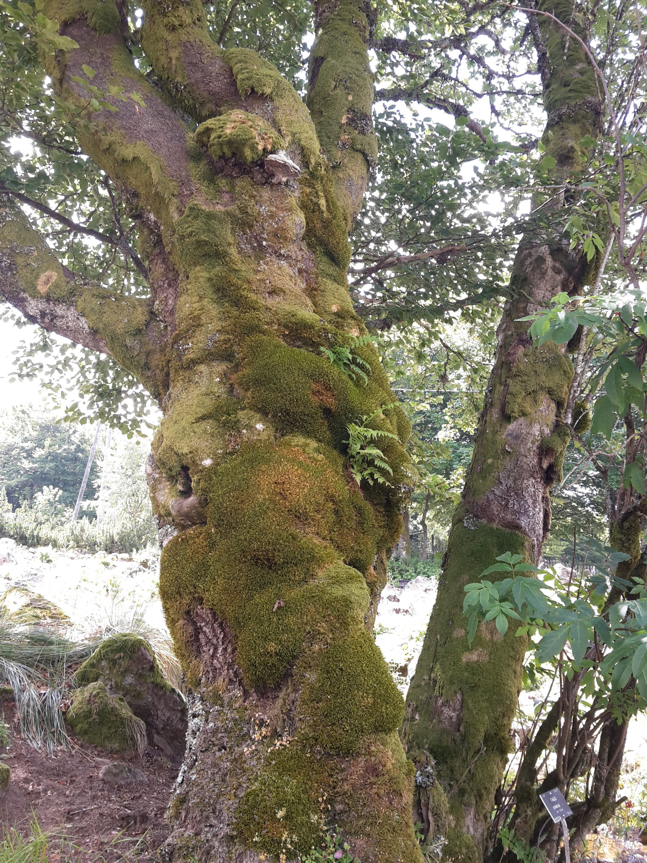 Photo n° 1 de l'avis de Isabelle.e fait le 18/07/2018 à 18:50