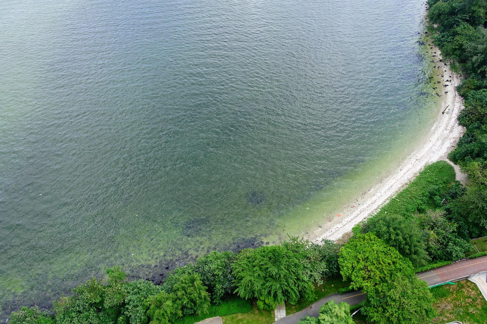 Foto van Northshore Beach en de nederzetting