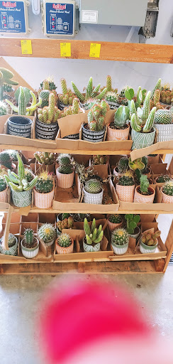 Discount Store «Walmart», reviews and photos, 12200 River Ridge Blvd, Burnsville, MN 55337, USA