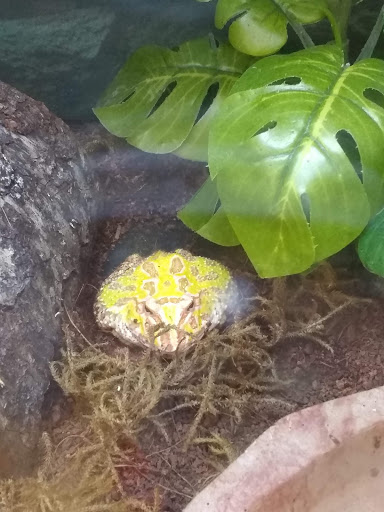 Pet Supply Store «Petco Animal Supplies», reviews and photos, 3060 Evans St #105, Greenville, NC 27834, USA