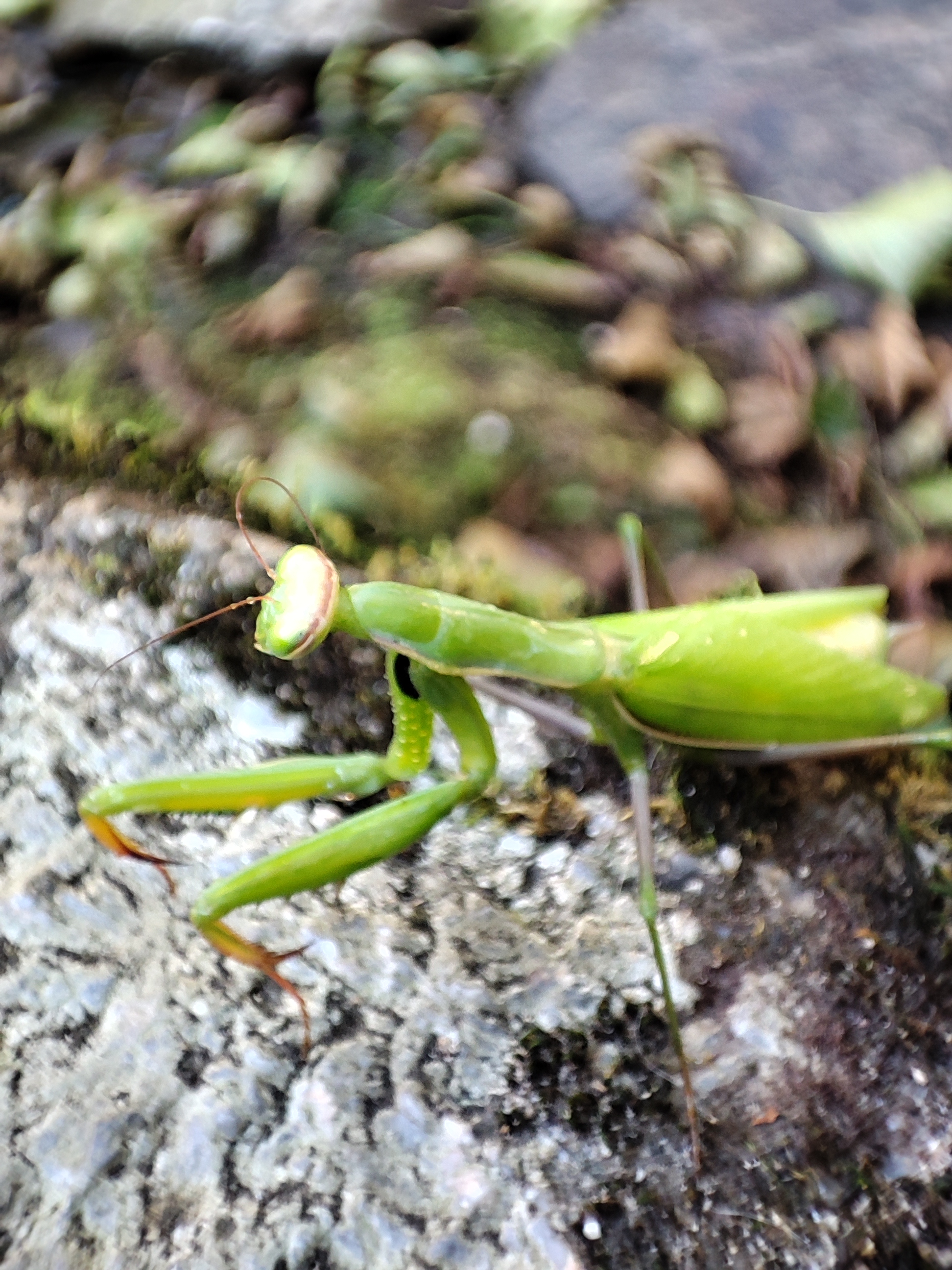 Photo n° 4 de l'avis de cyril.h fait le 16/07/2018 à 12:01